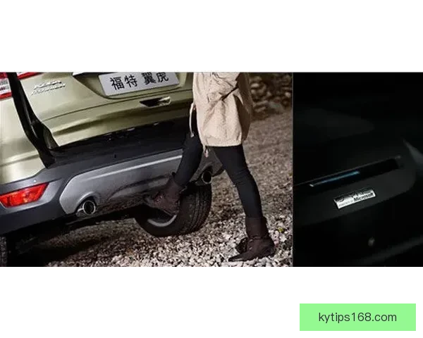 拉齐奥动态解析努诺塔瓦雷斯成长与佩德罗诺斯林竞争态势